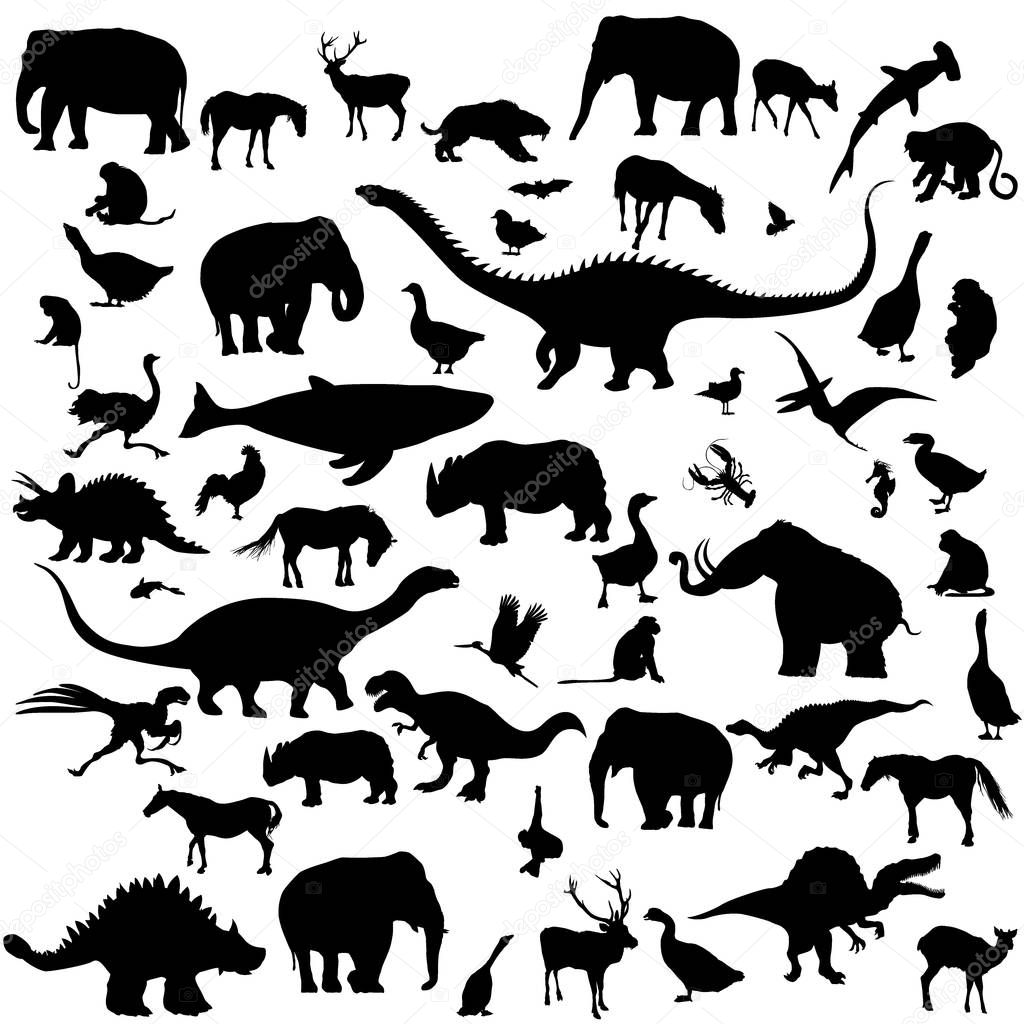 Large set of animals silhouettes