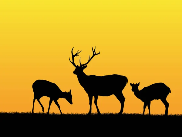 Deer background — Stock Vector