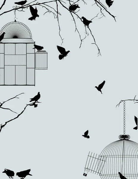 kuşlar ve birdcages posta kartı 2