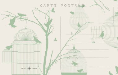 Vintage kuşlar posta kartı 2