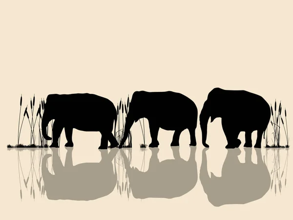 Слоны пересекают воду — стоковый вектор