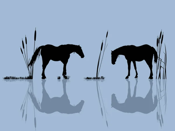 Лошади у воды — стоковый вектор