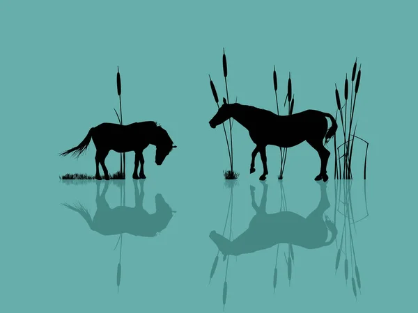 Caballos junto al agua — Archivo Imágenes Vectoriales