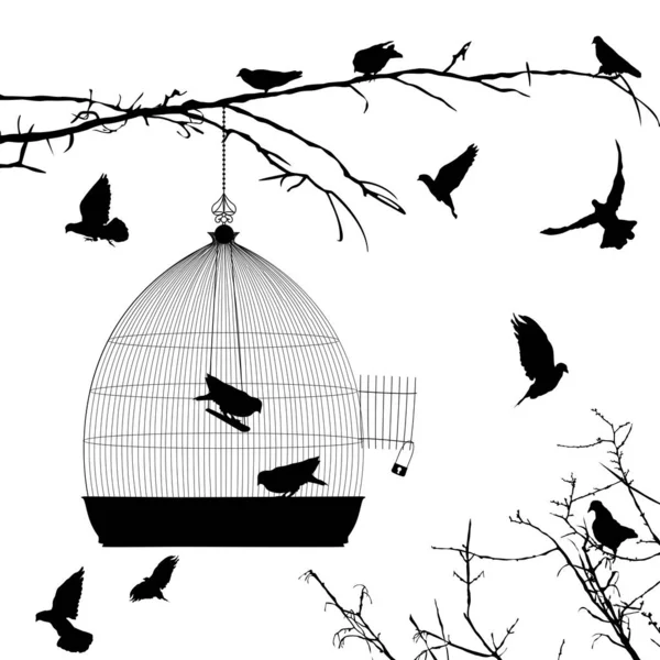 Siluetas de aves y jaula de aves — Vector de stock