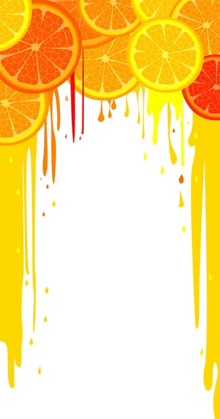 Lemon and orange slices — Stock Vector