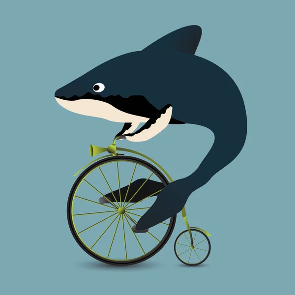 Wal auf dem Fahrrad — Stockvektor