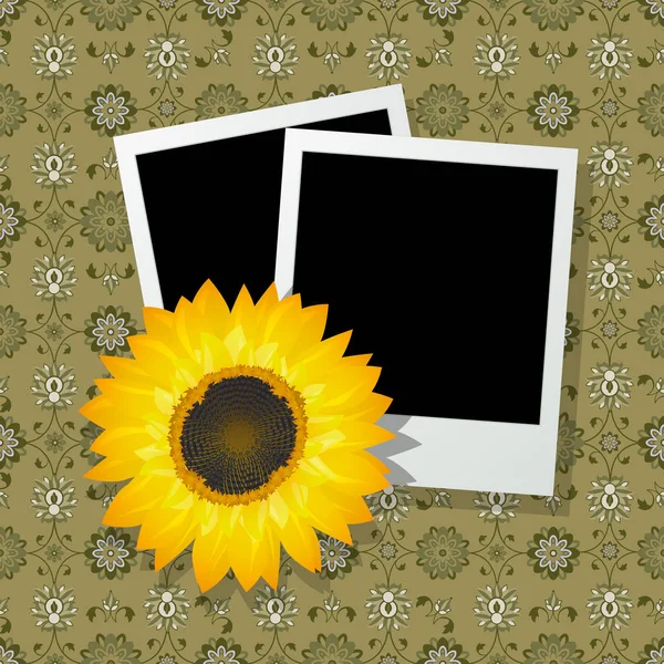 Fotorahmen mit Sonnenblume — Stockvektor