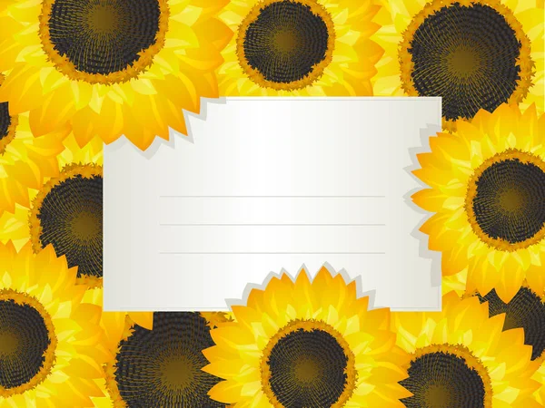 Tarjeta girasoles — Vector de stock