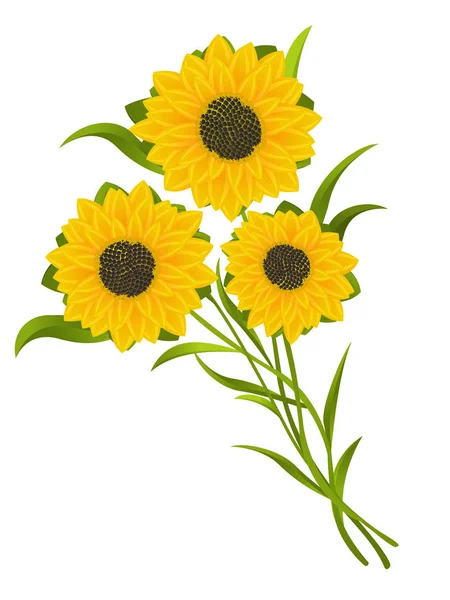 Girasoles — Vector de stock