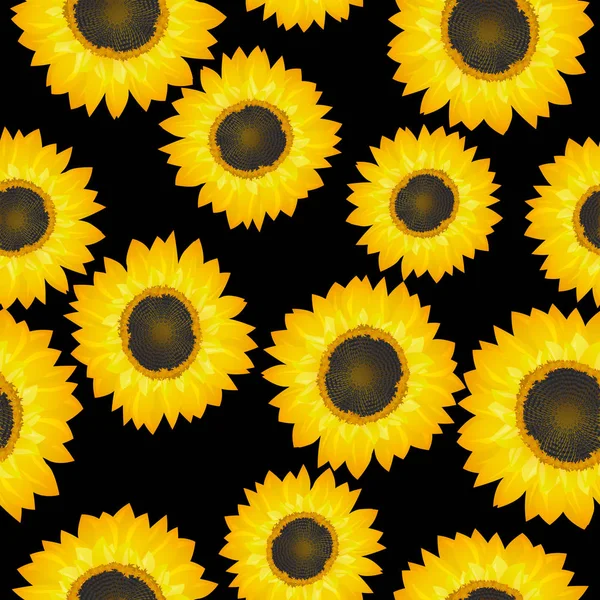 Modèle de tournesols — Image vectorielle