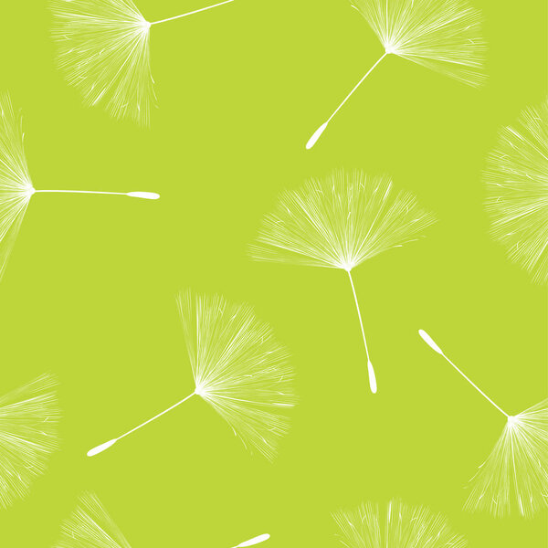 Dandelion seeds pattern