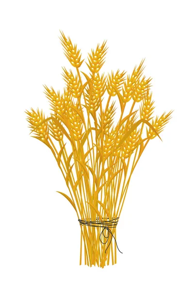 Икона золотой пшеницы — стоковый вектор
