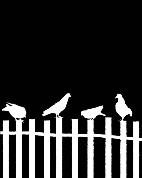 Pigeons on a fence — Stock Vector