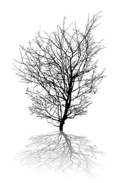 Arbre abstrait — Image vectorielle