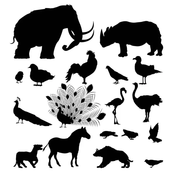 Силуэты диких животных — стоковый вектор