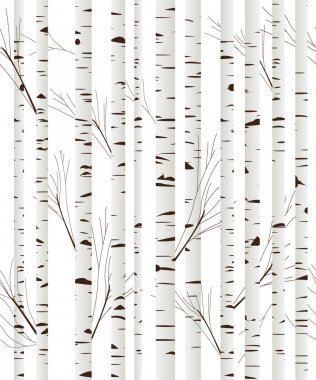 Birchwood arka plan