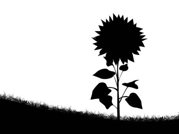 Silueta de girasol — Vector de stock