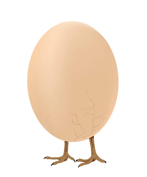 Ходячее яйцо — стоковый вектор