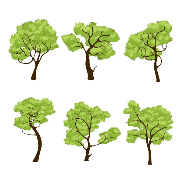 Árboles de la selva — Vector de stock