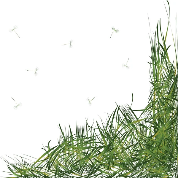 有茎的草 — 图库矢量图片