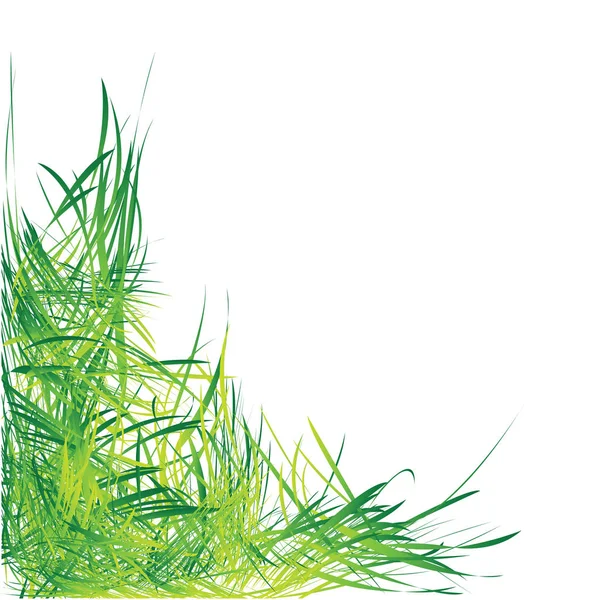 GRASS — Stock Vector