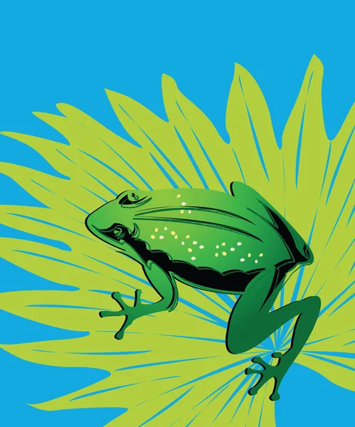 Grenouille verte — Image vectorielle