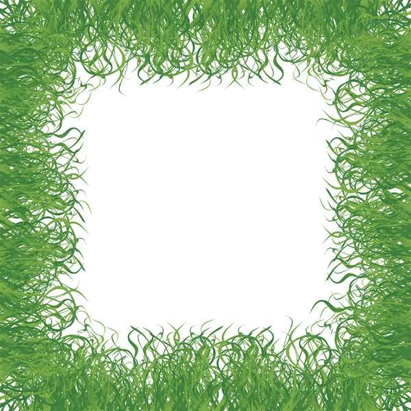 Трава кадру — стоковий вектор