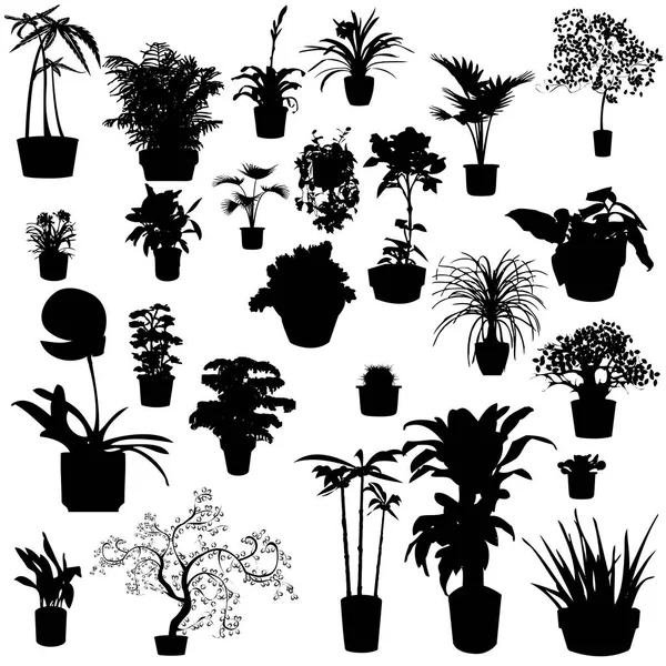 Горшечные растения — стоковый вектор