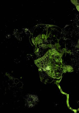 Soyut grunge hücresel arkaplan