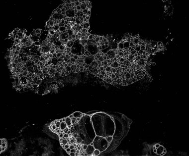 Soyut grunge hücresel arkaplan