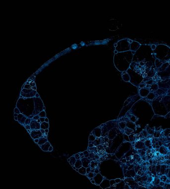 Soyut grunge hücresel arkaplan