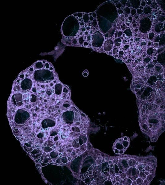 추상적 인 구조로 이루어진 세포 배경 — 스톡 사진