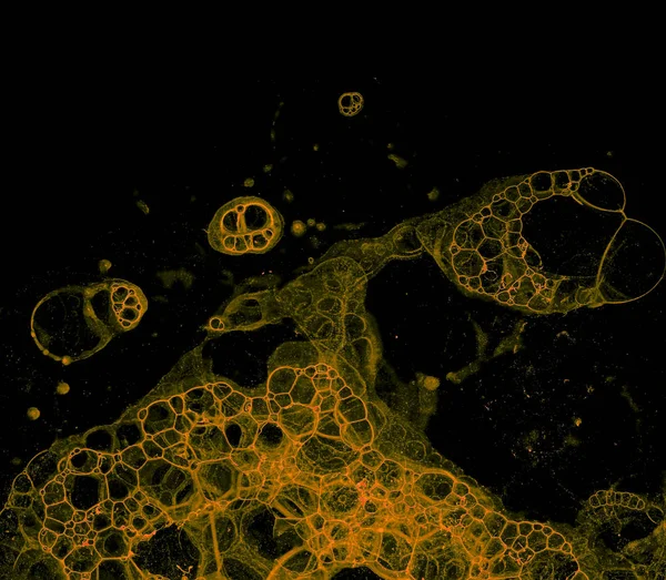 要旨グランジ細胞の背景 — ストック写真