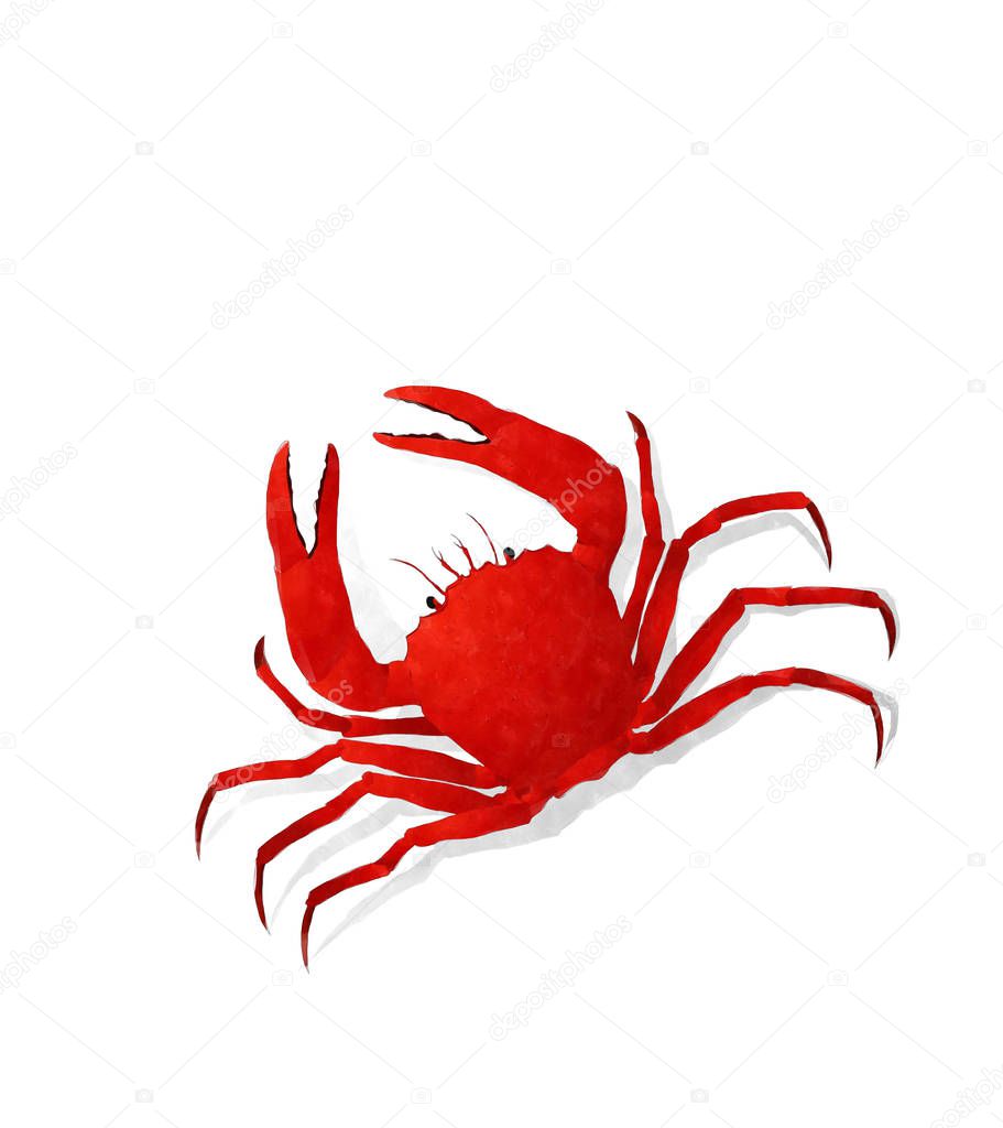 Watercolor crab