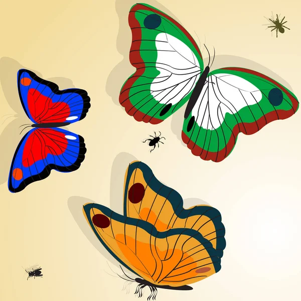 Illustration papillons — Image vectorielle