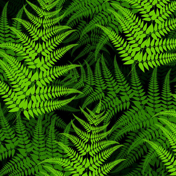 Fern pattern 2