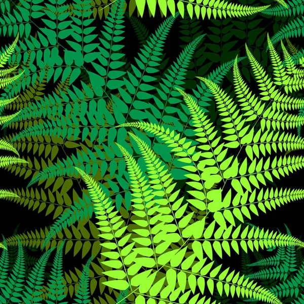 Fern pattern Stock Illustration