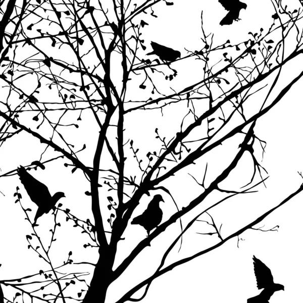 Silhouettes de pigeons dans les arbres 5 — Image vectorielle