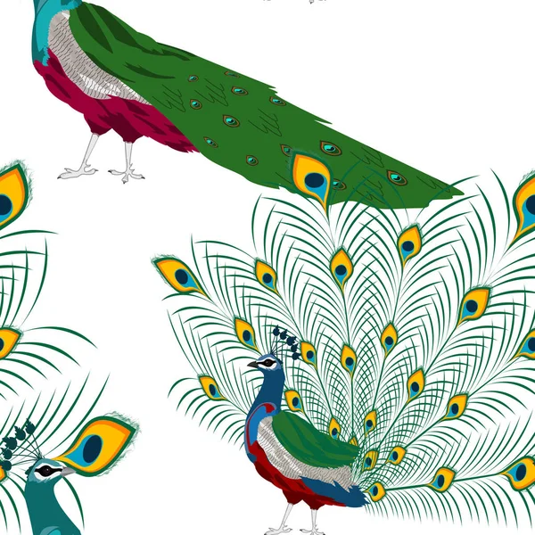 Pavos Realesストックベクター ロイヤリティフリーpavos Realesイラスト ページ 3 Depositphotos Pavos Realesストックベクター ロイヤリティフリーpavos Realesイラスト ページ 3 Depositphotos