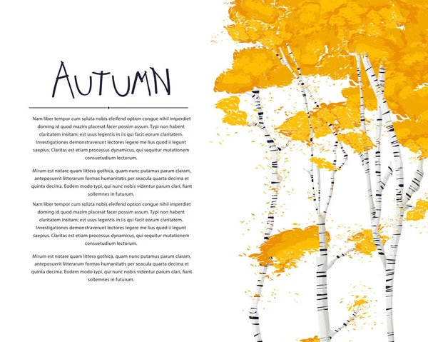 Carte d'automne avec bouleaux — Image vectorielle