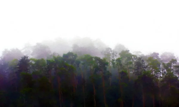 Desenho Estilo Aquarela Uma Floresta Nebulosa Sobre Fundo Branco — Fotografia de Stock