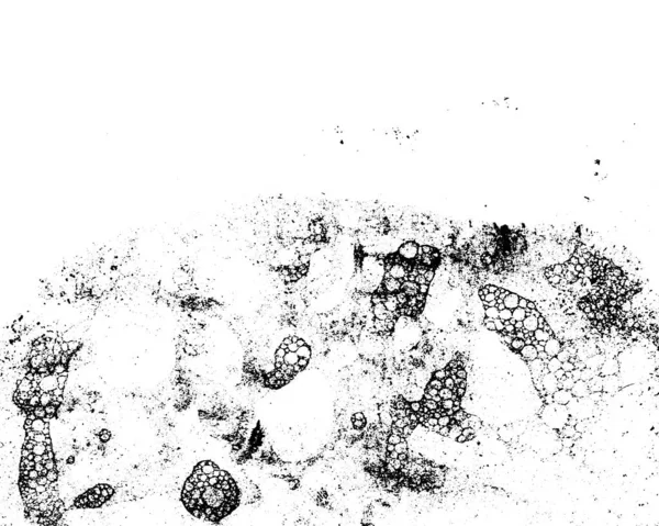 Texture Grunge Vectorielle Noir Blanc — Image vectorielle