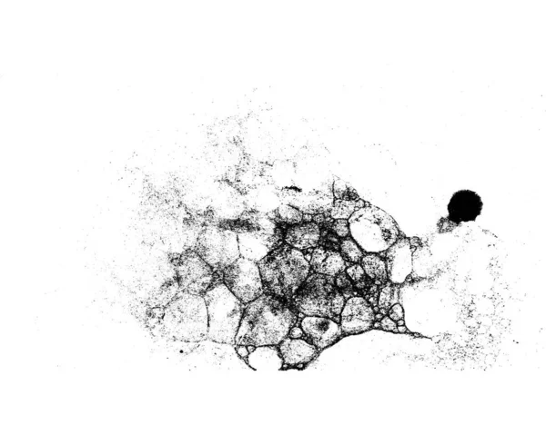 黑白相间的矢量磨擦纹理 — 图库矢量图片