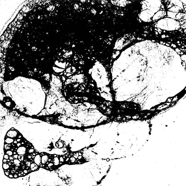 Vektor Grunge Textur Svart Och Vitt — Stock vektor