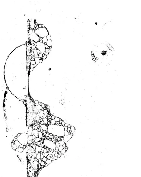 Wektor Grunge Tekstury Czerni Bieli — Wektor stockowy