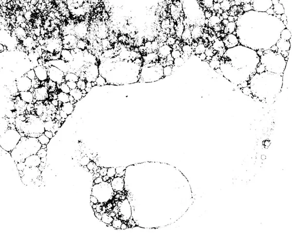 Векторна Гранжева Текстура Чорно Білому — стоковий вектор