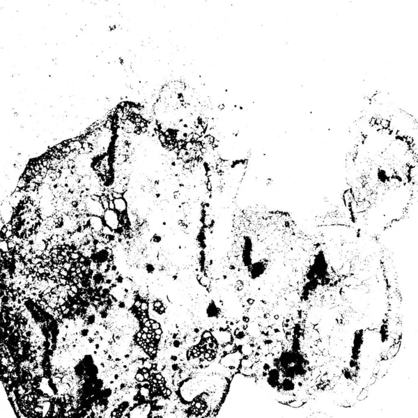 Texture Grunge Vectorielle Noir Blanc — Image vectorielle