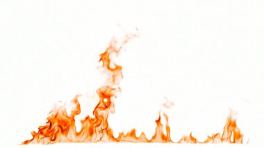 Beyaz arkaplanda yangın alevleri izole edildi.