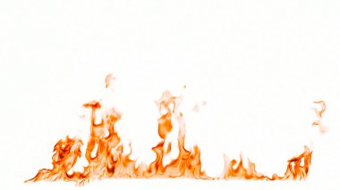 Beyaz arkaplanda yangın alevleri izole edildi.