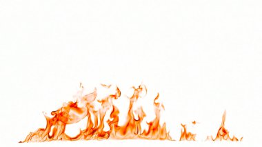 Beyaz arkaplanda yangın alevleri izole edildi.